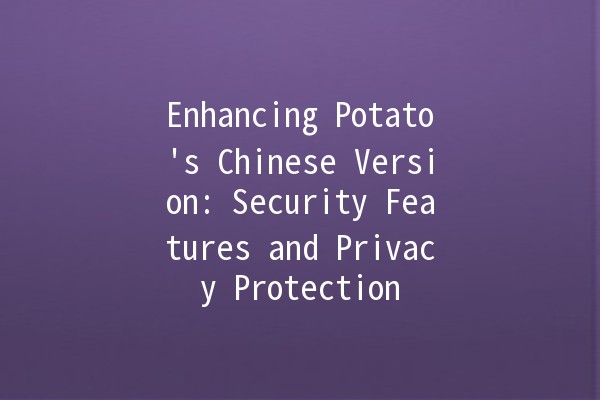 Enhancing Potato's Chinese Version: Security Features and Privacy Protection 🔒🥔