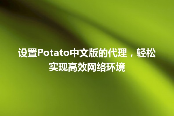 设置Potato中文版的代理，轻松实现高效网络环境 🌐💻