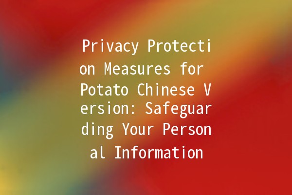 🥔 Privacy Protection Measures for Potato Chinese Version: Safeguarding Your Personal Information