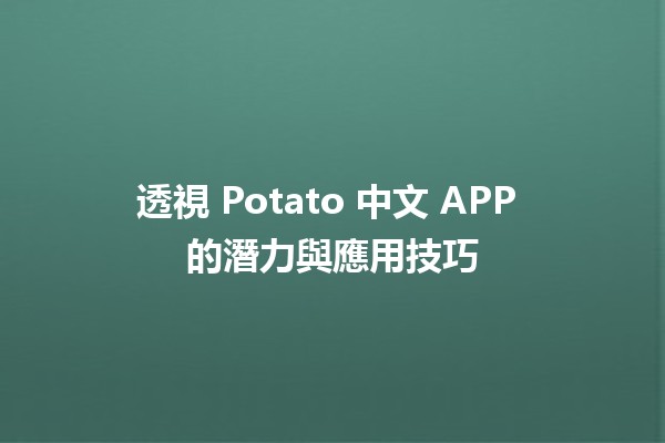 🌟 透視 Potato 中文 APP 的潛力與應用技巧 🔍