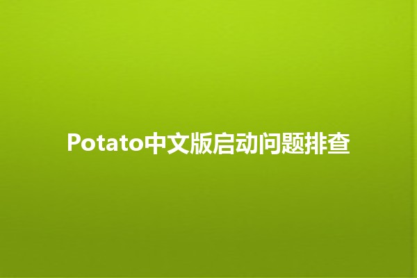 Potato中文版启动问题排查🛠️