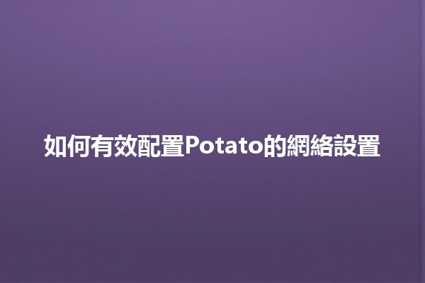 如何有效配置Potato的網絡設置📡🛠️