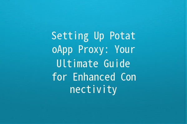 Setting Up PotatoApp Proxy: Your Ultimate Guide for Enhanced Connectivity 🌟