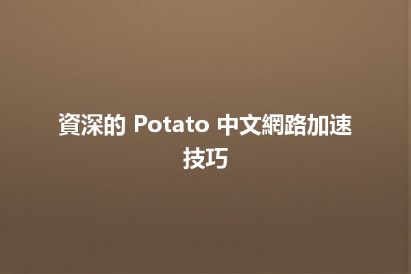 資深的 Potato 中文網路加速技巧 🥔✨