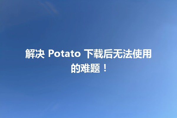 🎮 解决 Potato 下载后无法使用的难题！🛠️