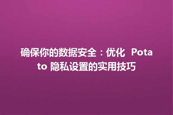 确保你的数据安全：优化 🥔 Potato 隐私设置的实用技巧