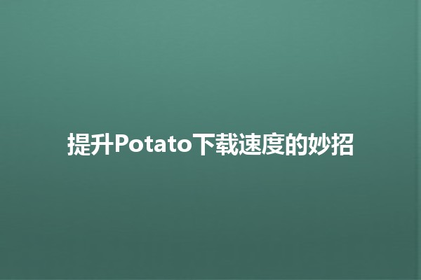 提升Potato下载速度的妙招✨🚀