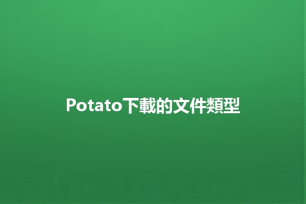 Potato下載的文件類型✨📥