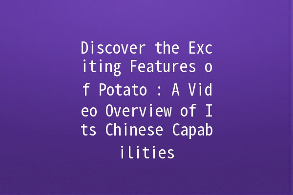 Discover the Exciting Features of Potato 🌟: A Video Overview of Its Chinese Capabilities