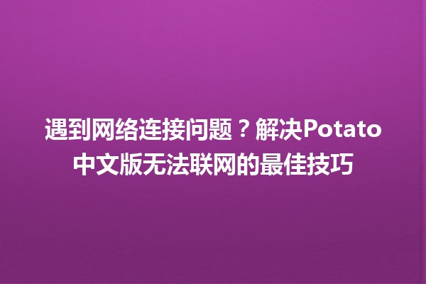 遇到网络连接问题？解决Potato中文版无法联网的最佳技巧🌐🥔