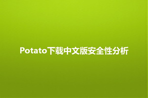 🥔 Potato下载中文版安全性分析🔍