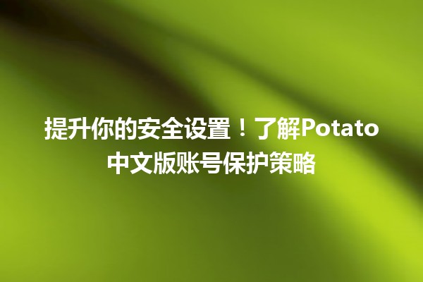 🔒提升你的安全设置！了解Potato中文版账号保护策略