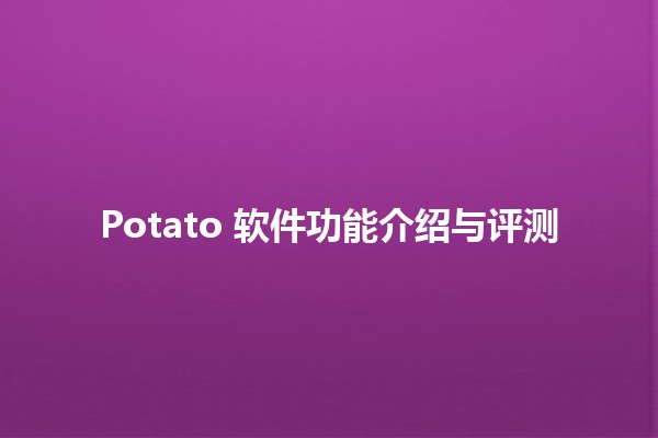 Potato 软件功能介绍与评测 🥔💻