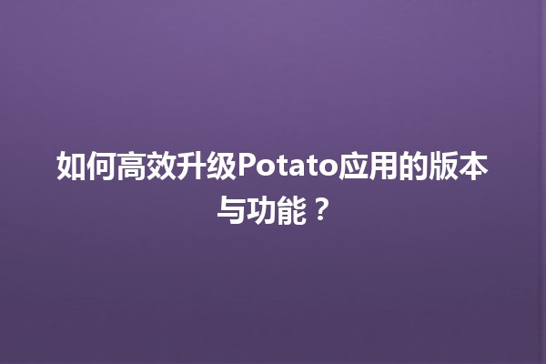 🚀 如何高效升级Potato应用的版本与功能？✨