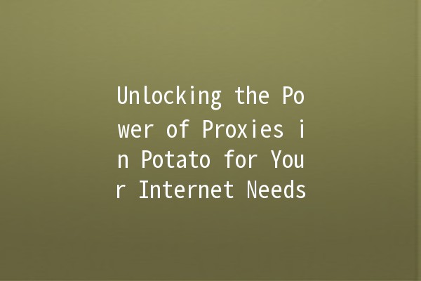 Unlocking the Power of Proxies in Potato for Your Internet Needs 🚀🔒