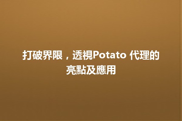 打破界限，透視Potato 代理的亮點及應用 🚀🥔