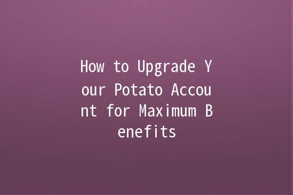 How to Upgrade Your Potato Account for Maximum Benefits 🥔🚀