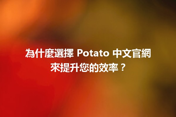 為什麼選擇 Potato 中文官網來提升您的效率？💪🥔