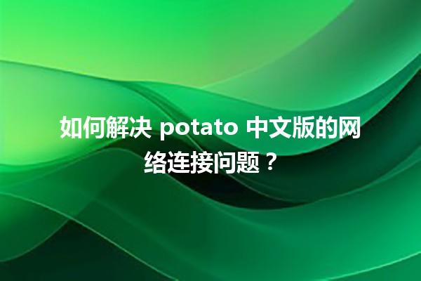 🍟 如何解决 potato 中文版的网络连接问题？